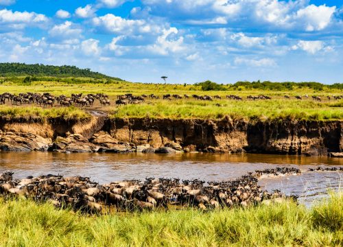 11-DAY MAGICAL KENYA WITH THE SAMBURU SPECIAL FIVE