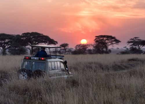 4 DAYS BEST OF MASAI MARA ( PRIVATE TOUR WITH LUXURY ACCOMODATION)