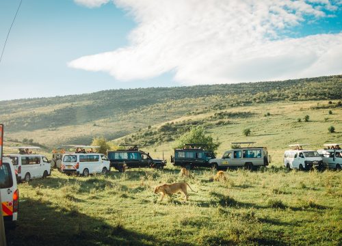 12 Day Golden Memories of Kenya and Tanzania (Private  Tour)
