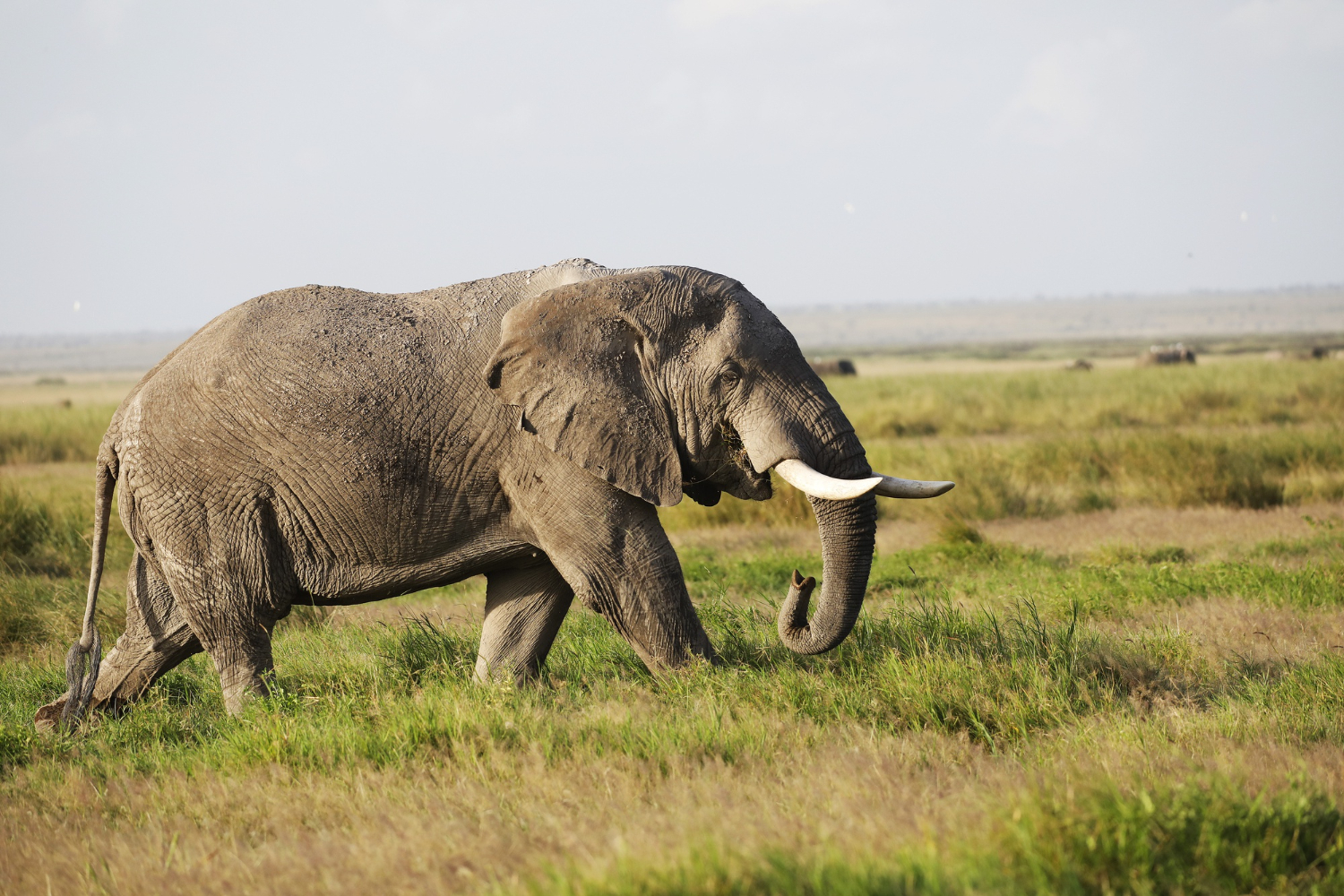 NAKURU